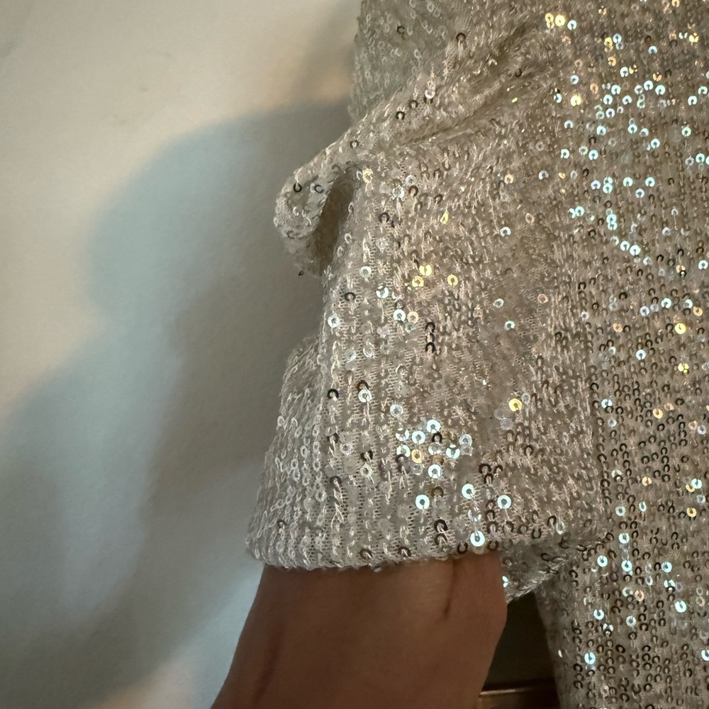 Starling Elegant Silver Sequin Dress - Picture 5 of 6